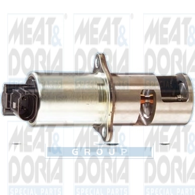 EGR Valve